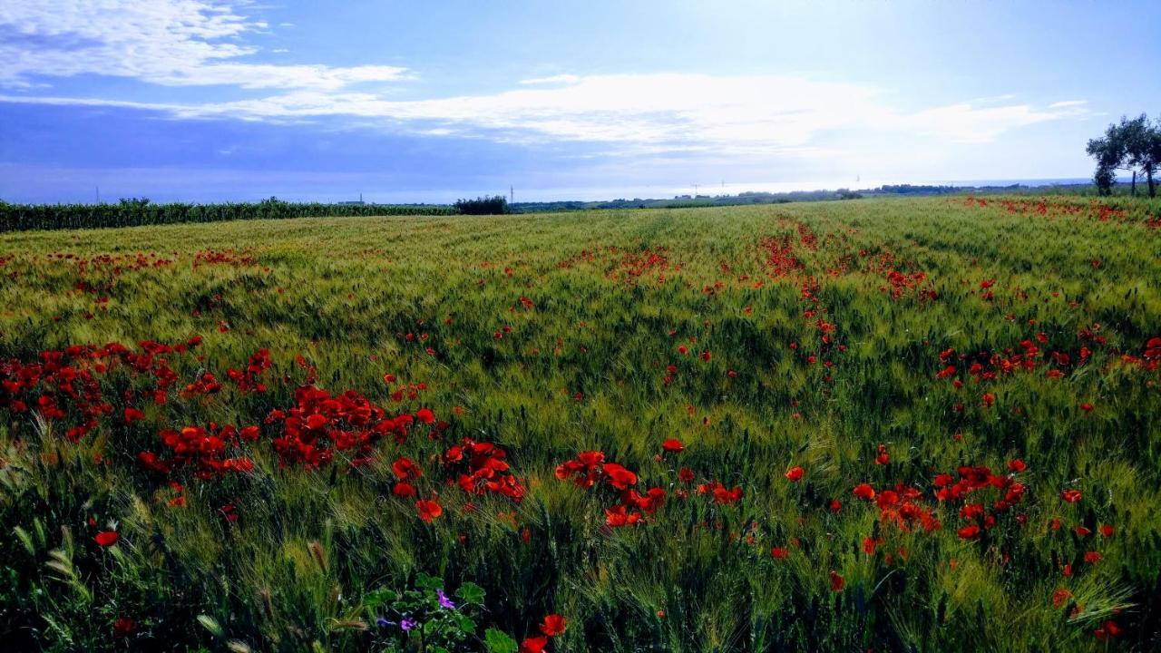 Punta Aderci Rooms Vasto Dış mekan fotoğraf